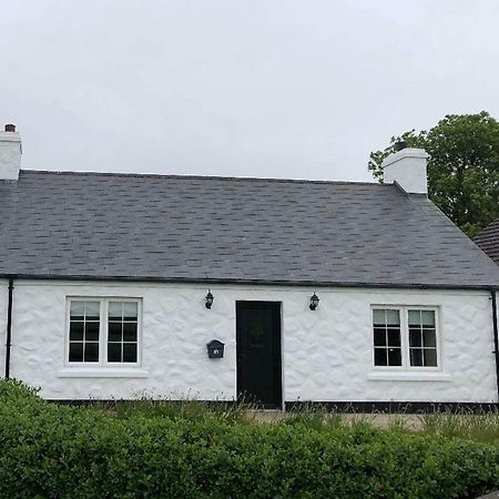 Causeway Coast Cottageブッシュミルズ エクステリア 写真